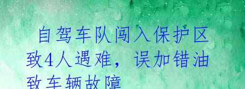  自驾车队闯入保护区致4人遇难，误加错油致车辆故障