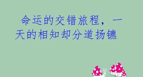  命运的交错旅程，一天的相知却分道扬镳