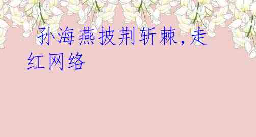 孙海燕披荆斩棘,走红网络