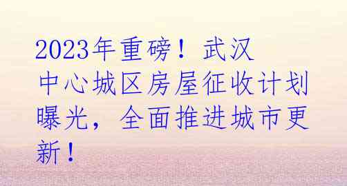 2023年重磅!武汉中心城区房屋征收计划曝光,全面推进城市更新!