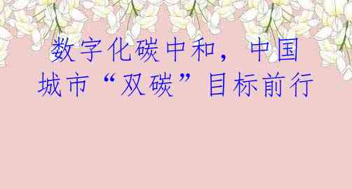 数字化碳中和,中国城市“双碳”目标前行