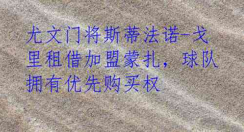 尤文门将斯蒂法诺-戈里租借加盟蒙扎,球队拥有优先购买权