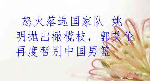 怒火落选国家队 姚明抛出橄榄枝,郭艾伦再度暂别中国男篮