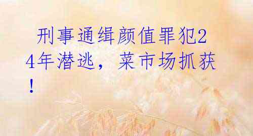 刑事通缉颜值罪犯24年潜逃,菜市场抓获!