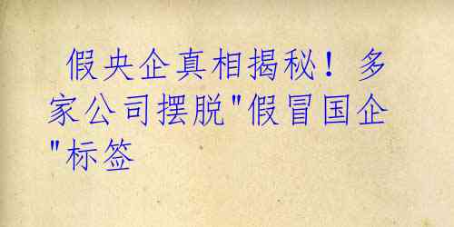 假央企真相揭秘!多家公司摆脱"假冒国企"标签