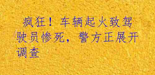  疯狂！车辆起火致驾驶员惨死，警方正展开调查 