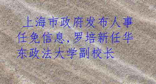 上海市政府发布人事任免信息,罗培新任华东政法大学副校长