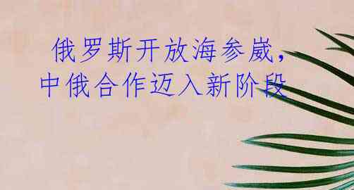 俄罗斯开放海参崴,中俄合作迈入新阶段