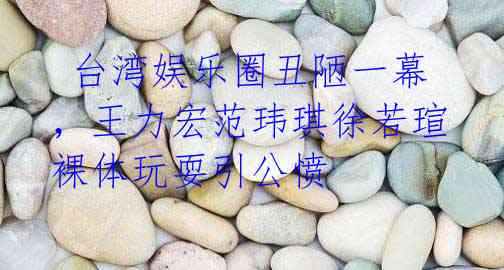 台湾娱乐圈丑陋一幕,王力宏范玮琪徐若瑄裸体玩耍引公愤
