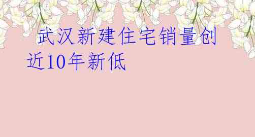 武汉新建住宅销量创近10年新低