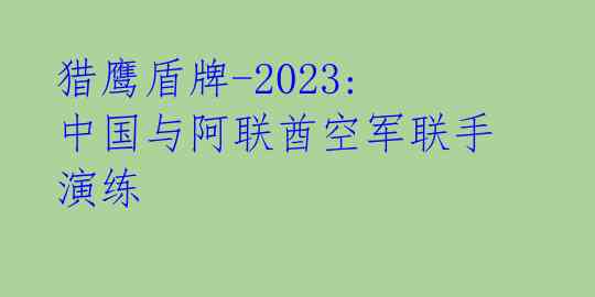 猎鹰盾牌-2023: 中国与阿联酋空军联手演练