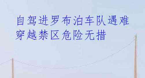  自驾进罗布泊车队遇难 穿越禁区危险无措