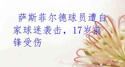  萨斯菲尔德球员遭自家球迷袭击，17岁前锋受伤