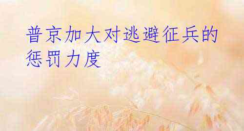 普京加大对逃避征兵的惩罚力度