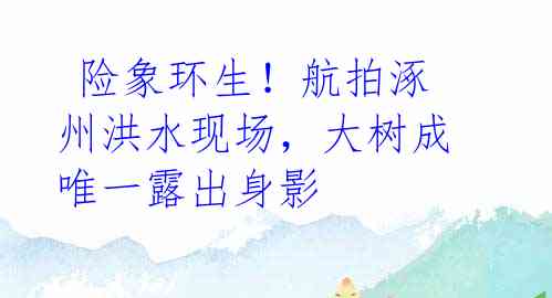 险象环生！航拍涿州洪水现场，大树成唯一露出身影