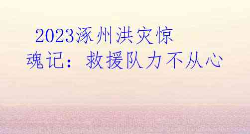 2023涿州洪灾惊魂记:救援队力不从心