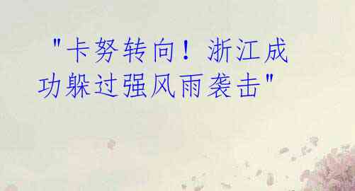 "卡努转向!浙江成功躲过强风雨袭击"