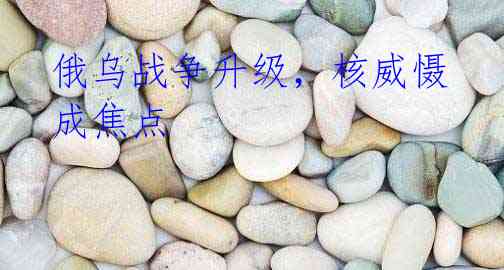 俄乌战争升级，核威慑成焦点