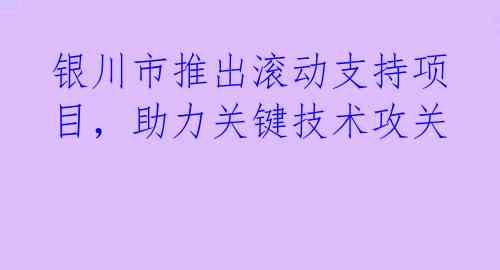 银川市推出滚动支持项目，助力关键技术攻关