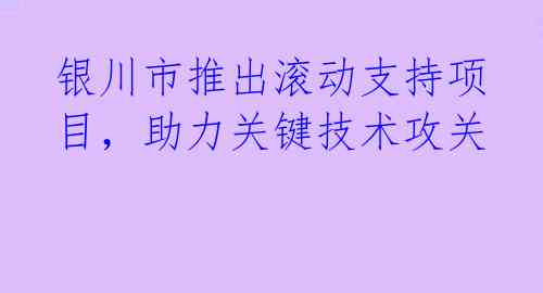 银川市推出滚动支持项目，助力关键技术攻关 