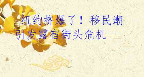纽约挤爆了!移民潮引发露宿街头危机