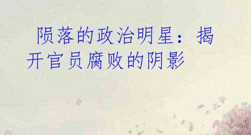 陨落的政治明星:揭开官员腐败的阴影