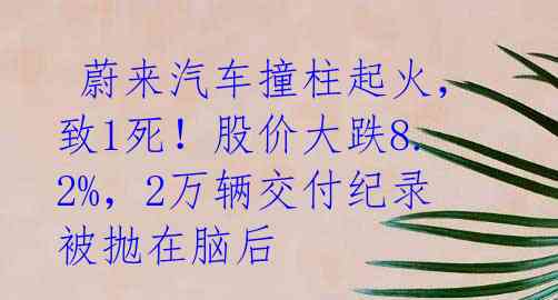 蔚来汽车撞柱起火,致1死!股价大跌8.2%,2万辆交付纪录被抛在脑后