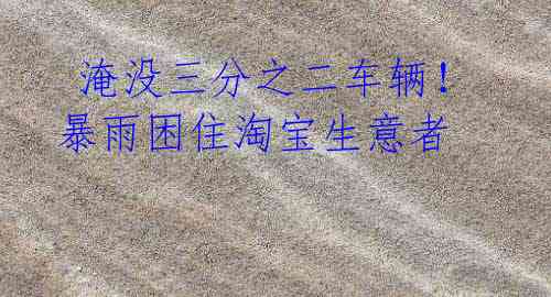 淹没三分之二车辆!暴雨困住淘宝生意者