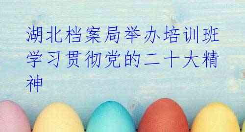湖北档案局举办培训班 学习贯彻党的二十大精神