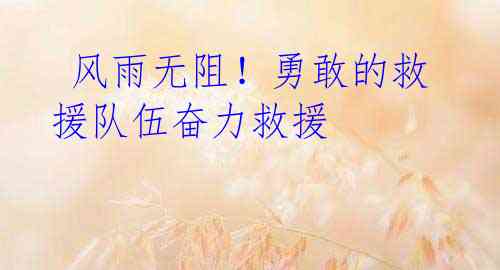 风雨无阻!勇敢的救援队伍奋力救援