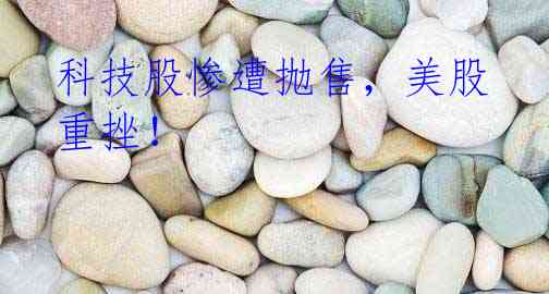 科技股惨遭抛售,美股重挫!