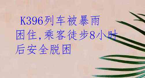 K396列车被暴雨困住,乘客徒步8小时后安全脱困