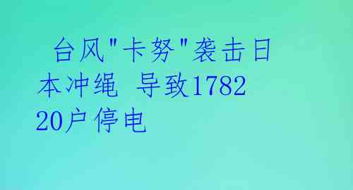  台风"卡努"袭击日本冲绳 导致178220户停电 