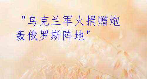 "乌克兰军火捐赠炮轰俄罗斯阵地"