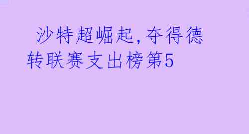  沙特超崛起,夺得德转联赛支出榜第5 