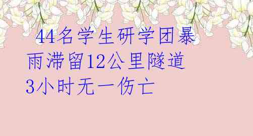 44名学生研学团暴雨滞留12公里隧道 3小时无一伤亡
