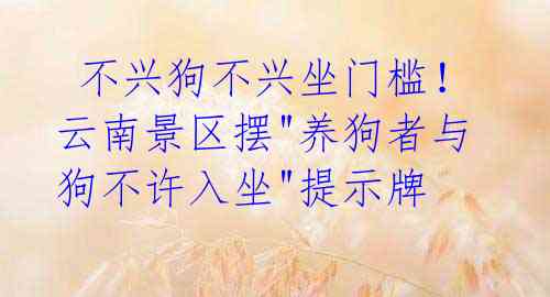  不兴狗不兴坐门槛！云南景区摆"养狗者与狗不许入坐"提示牌 