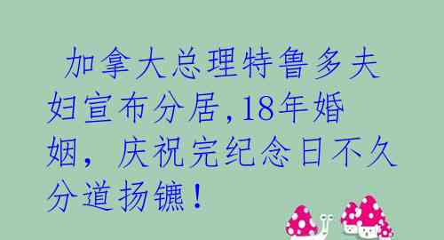  加拿大总理特鲁多夫妇宣布分居,18年婚姻，庆祝完纪念日不久分道扬镳！ 