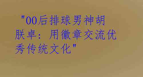 "00后排球男神胡朕卓: 用徽章交流优秀传统文化"