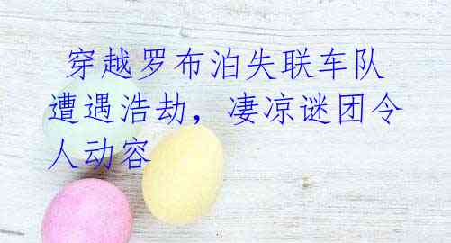 穿越罗布泊失联车队遭遇浩劫,凄凉谜团令人动容