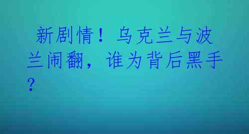 新剧情!乌克兰与波兰闹翻,谁为背后黑手?