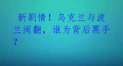  新剧情！乌克兰与波兰闹翻，谁为背后黑手？ 