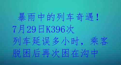 暴雨中的列车奇遇!7月29日K396次列车延误多小时,乘客脱困后再次困在沟中