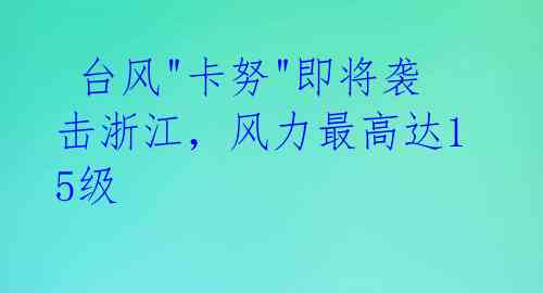  台风"卡努"即将袭击浙江，风力最高达15级 