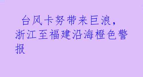  台风卡努带来巨浪，浙江至福建沿海橙色警报 