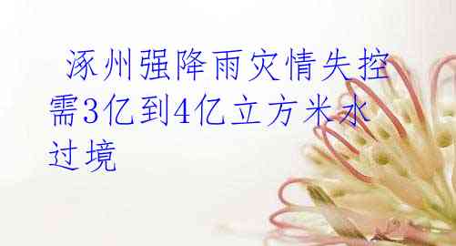 涿州强降雨灾情失控 需3亿到4亿立方米水过境