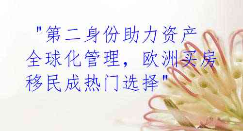 "第二身份助力资产全球化管理,欧洲买房移民成热门选择"