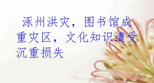 涿州洪灾,图书馆成重灾区,文化知识遭受沉重损失
