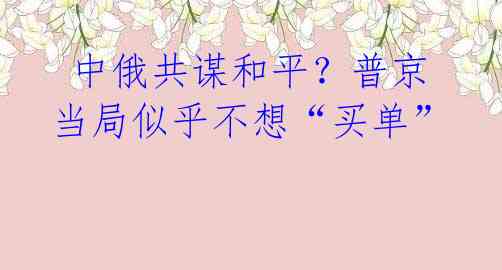  中俄共谋和平？普京当局似乎不想“买单” 