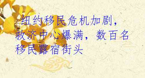 纽约移民危机加剧,救济中心爆满,数百名移民露宿街头